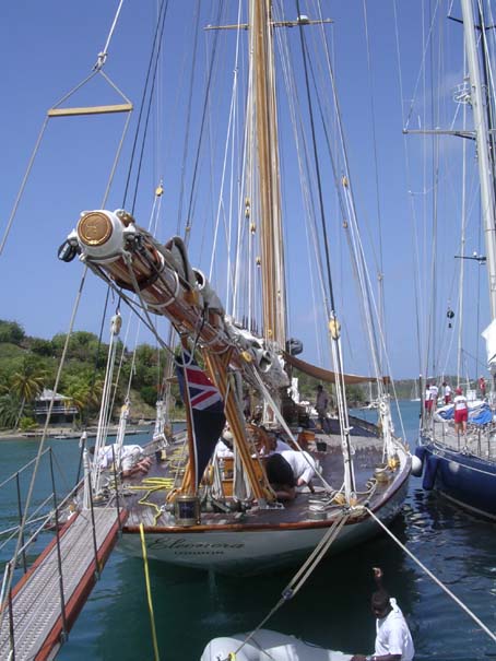 Eleanora