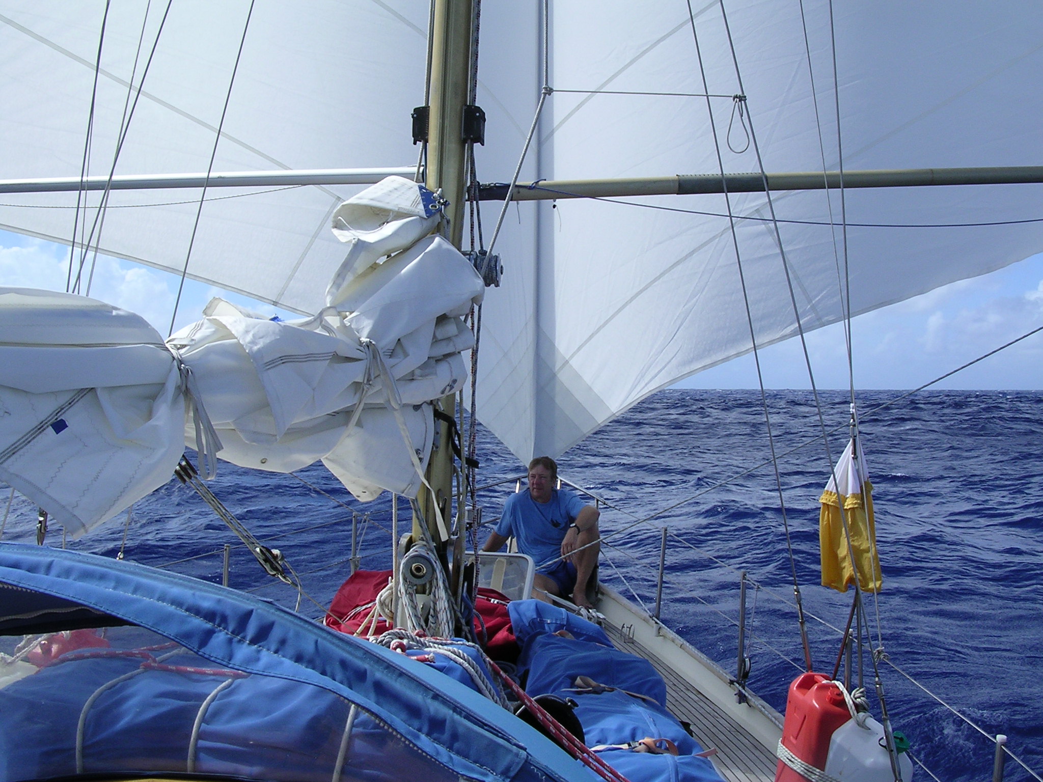 Twin headsails