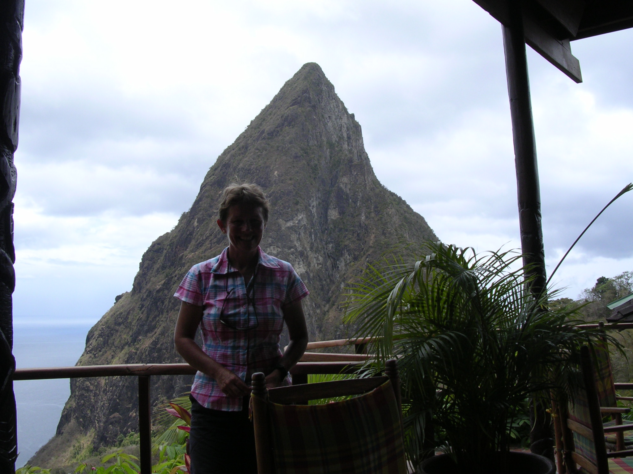 View from the Dasheen
