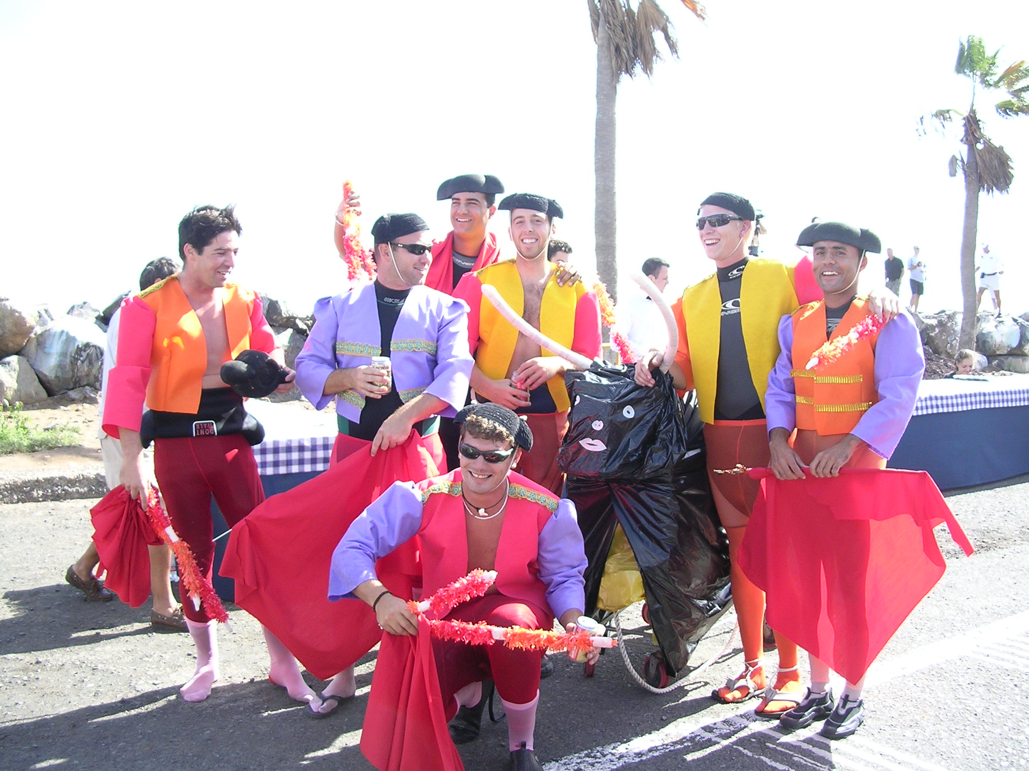 Bull fighters